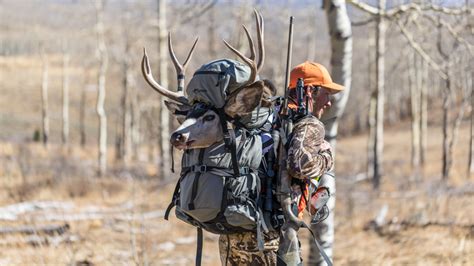 backpack for packing out deer.